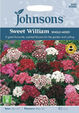Sweet William Single Mixed Seeds