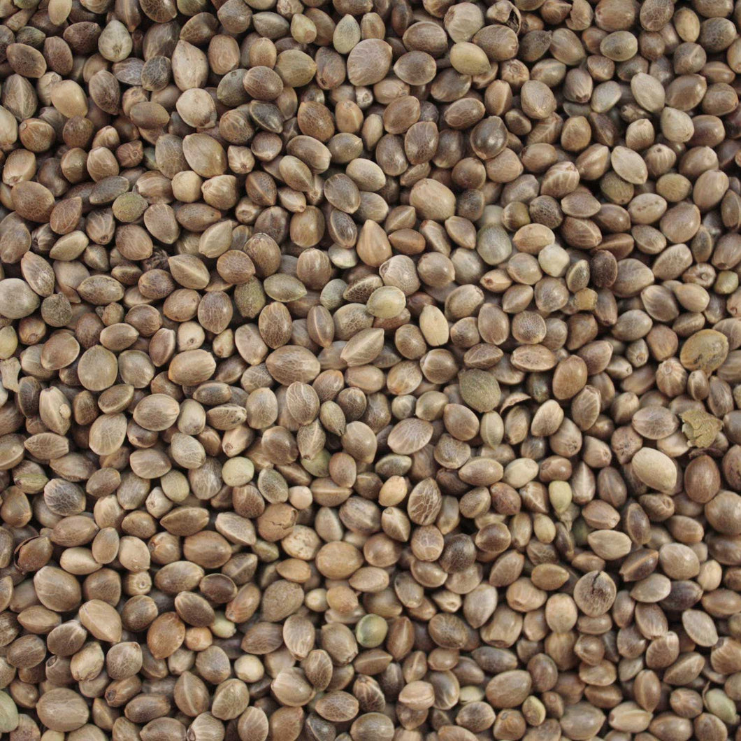 Hemp Seeds / Bhaang Seeds ( भाङ्ग को गेडा)