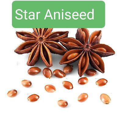 Badian ( Star Aniseed whole  )