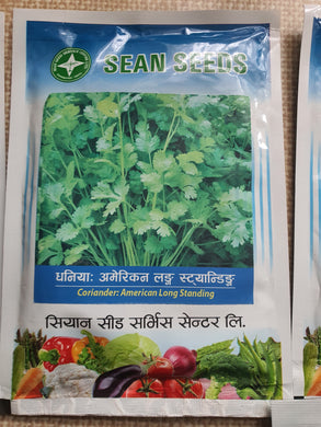 Nepali Dhaniya / Coriander seeds नेपाली धनिया को बीउ