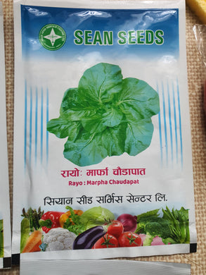 Nepali Spinch  Seeds / रायो सागको   बीऊ