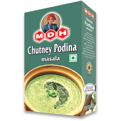 MDH CHUTNEY PODINA MASALA100g