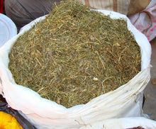 Nepali Jimbu (जिम्बु)  Himalayan Herb Jimbu