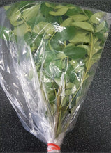 Fresh Curry Leaves 10-12g  Pack) / FRESH NATURAL LEAVES