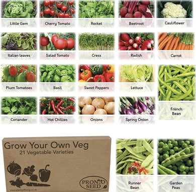 Pronto Seed Vegetable Herb Seeds Grow Your Own Kit Gardening Gift for Women and Men Bumper Pack (21 Varieties

)