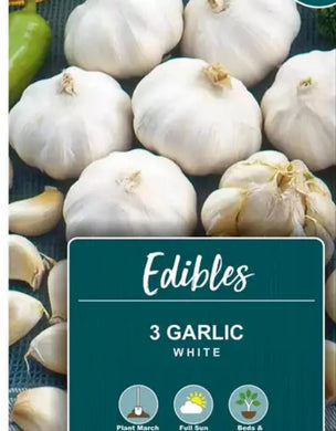 Edibles - 3 Garlic White