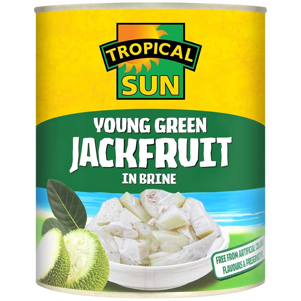 Tropical Sun Young Green Jackfruit in Brine 565g
