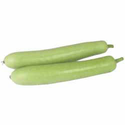 Bottle gourd, lauki or Doodhi