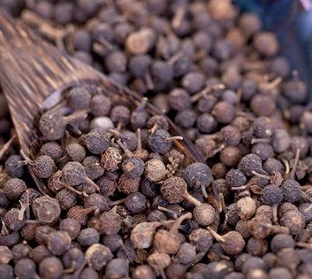 Timmur  Whole (टिम्मुर, तिम्बुर गेडा ) Szechwan pepper timur from Nepal