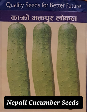 Nepali Local Cucumber 20 Seeds -