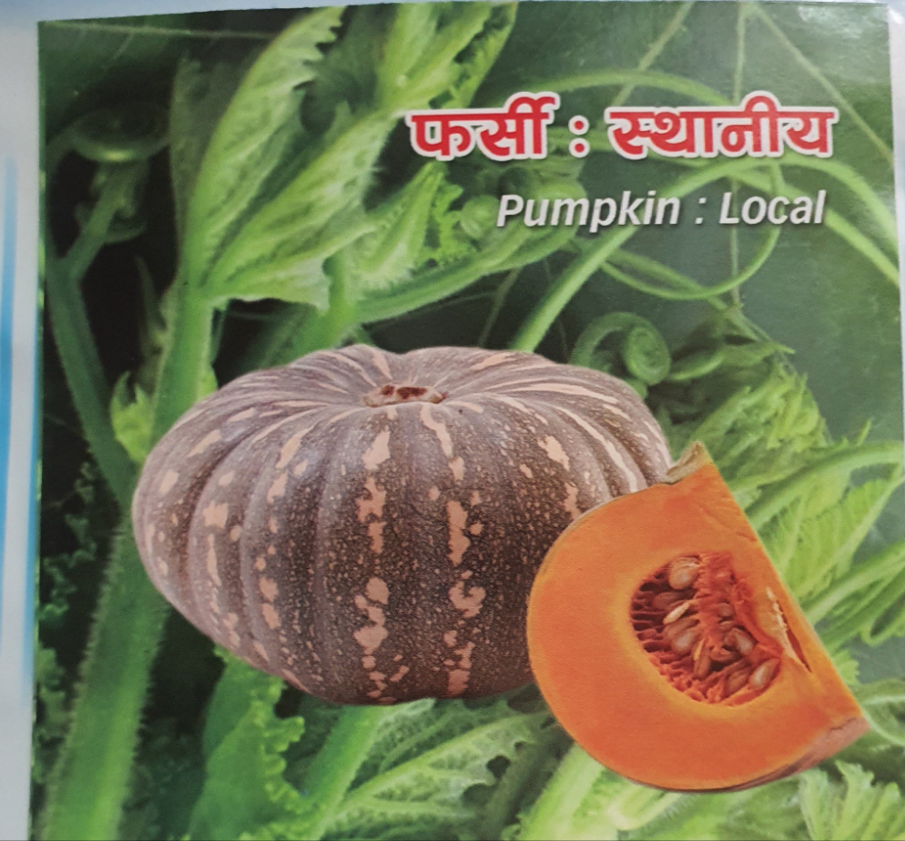 Local Pumkin Seeds / फर्सीको   बीऊ ( 10 Seeds )