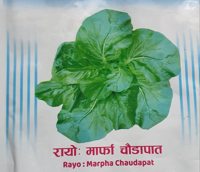 Nepali Spinch  Seeds / रायो सागको   बीऊ (100 seeds )