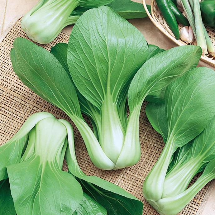 Pak Choi Seeds
