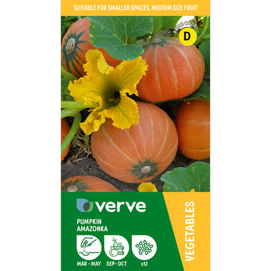 Verve Pumpkin 'Amazonka' Vegetable Seeds