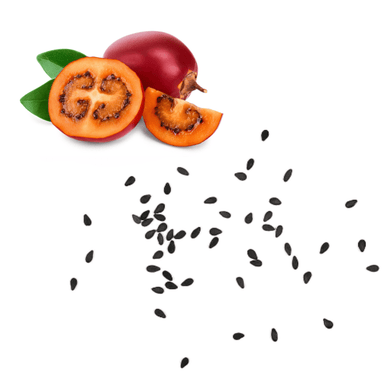 Tamarillo (Tree Tomato) Seeds |

 टामारिल्लो (रुख टमाटर) बीउ