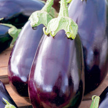 Aubergine Black Beauty Seeds. भण्टा” बैंगन  or বাংলা .