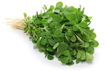 Nepali Methi Saag . Grow Methi Seeds नेपाली मेथी को सागको बीऊ . Fenugreek Seeds to Grow Methi Spinch