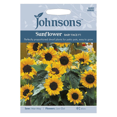 Johnsons Sunflower Baby Face F1 Seeds