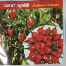 Dalle . Extremely Hot  round Chilli Seeds .  Akbare Khursani chilli seeds . Easy to grow in UK weather डल्ले खुर्सानी . King of chillies" or "Red cherry pepper