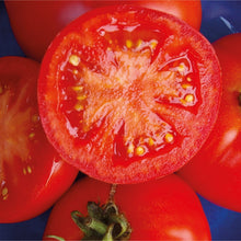 Tomato 'Red Bodyguard F1' Vegetable Seeds