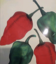 Bangladeshi Red, HOT Lantern Habanero Pepper-  Easy to Grow, Mature Early ! similar to Naga Chilli Seeds . very Hot Chilli seeds to Grow your  own Garden  . scotch bonet
