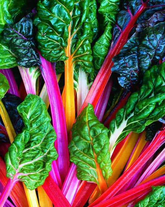 Swiss Chard Rainbow