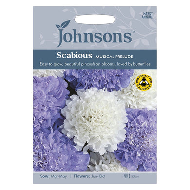 Johnsons Scabious Musical Prelude Seeds