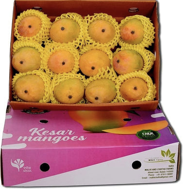 Kesar Mango || Juicy Mango || King of Mangoes || India || 12 Pieces || £20.99 (12 Pieces)