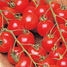 Tomato 'Cherry Mix' Vegetable Seeds