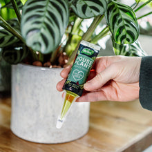 Liquid Drip feeder, 40ml . House Plant Feeder