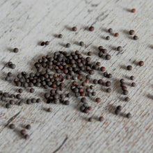 Pak Choi Seeds