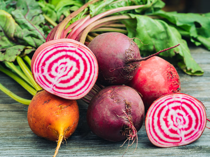 Beetroot Rainbow Colour Mix - Sweet & Colourful Garden Seeds for Allotments - Seeds - Easy to Grow -