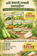 नेपाली तरकारीका बीउहरू .£19.99 /- only . 10 Varieties . Nepali Vegetables Combo Seeds . Cucumber , Karela , Lauka , Rayo Seeds , Pumkin , Ghiramla , Simi , Bhindi , Red Radish , Beans   . Nepali Seeds Package
