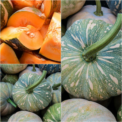 Pumkin Seeds / फर्सीको   बीऊ  ,Nepali Local
