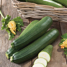 Courgette Blackstar F1 Seeds