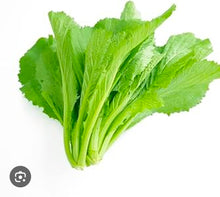 रायो सागको बीऊ / नेपाली मार्फा रायो साग  .Rayo Saag Seeds . Nepali Rayo Spinach seeds