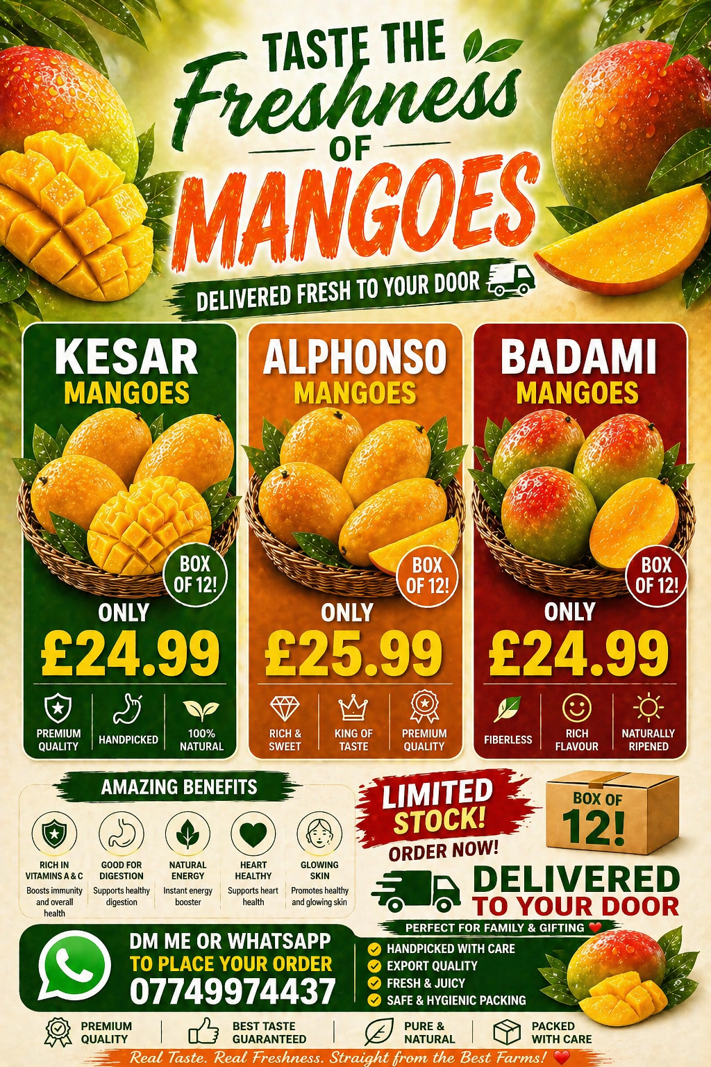 Delicious  Mangoes || 12 Pieces Box  |