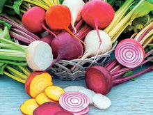 Beetroot Rainbow Colour Mix - Sweet & Colourful Garden Seeds for Allotments - Seeds - Easy to Grow -