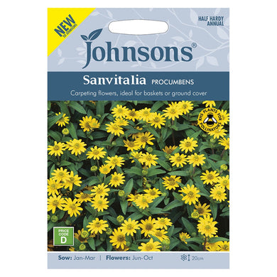 Johnsons Sanvitalia Procumbens Seeds