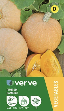 Verve Pumpkin 'Bambino' Vegetable Seeds