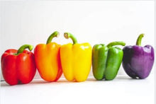 Pepper Sweet Hybrids Mixed seeds