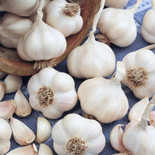 Garlic for Planting UK -UK Garlic Cloves  for Large Bulbs