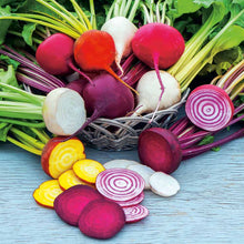 Beetroot Rainbow Colour Mix - Sweet & Colourful Garden Seeds for Allotments - Seeds - Easy to Grow -