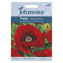 Johnsons Scabious Tall Double Mixed Seeds