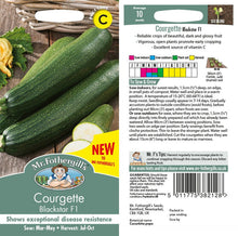 Courgette Blackstar F1 Seeds