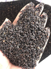 Himalayan  Ban Silam (बन सिलाम)