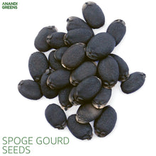 Asian/ Bangladeshi /Nepali / Indian Vegetable Seeds,Bottle Gourd,Spinach, Lauka , Karela 2026