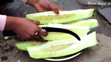 लोकल नेपाली काक्रो . Cucumber Seeds - Nepali Local -