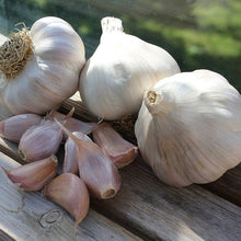 Garlic for Planting UK -UK Garlic Cloves  for Large Bulbs