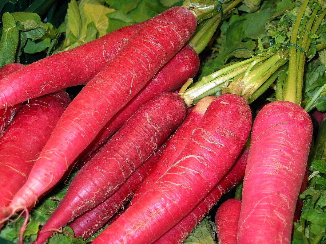 Red Radish Long Mooli / Mula Seeds. नेपाली रातो मुला(ठुलो )
